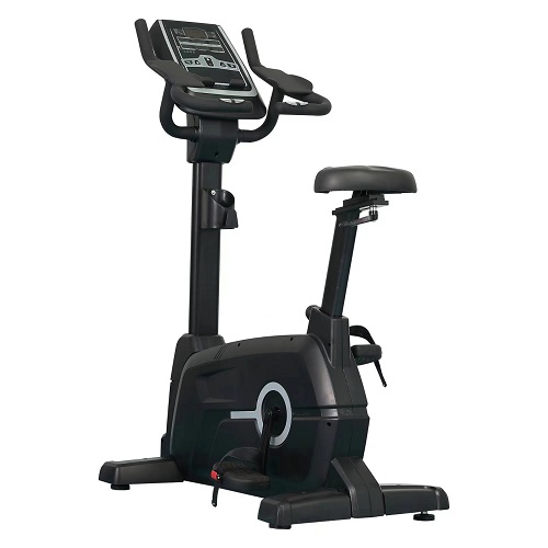 TECHNO FITNESS DFT-F1 Commercial Upright bike - deluxe.com.ng