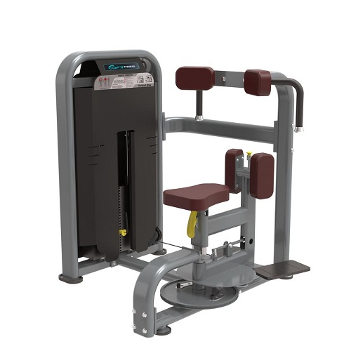 TECHNO FITNESS DFT1615 Commercial Torso Rotary - deluxe.com.ng