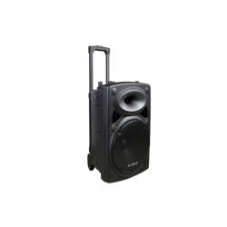  ROYAL SOUND RS 1204 15 INCH TROLLEY SPEAKER  - deluxe.com.ng