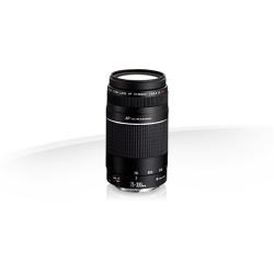 CANON PROFESSIONAL DIGITAL EF75-300mm LENS (DAME) - deluxe.com.ng