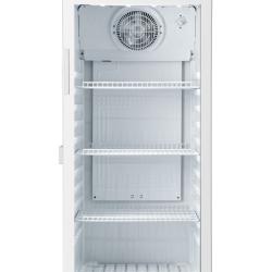 Hisense FL42FC 306L Showcase Single Door Refrigerator -deluxe.com.ng
