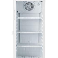 Hisense FL42FC 306L Showcase Single Door Refrigerator - deluxe.com.ng