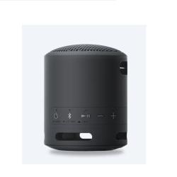 SONY XB13 EXTRA BASS Portable Wireless Speaker - deluxe.com.ng